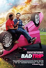 Bad Trip 2020 Dub in Hindi Full Movie